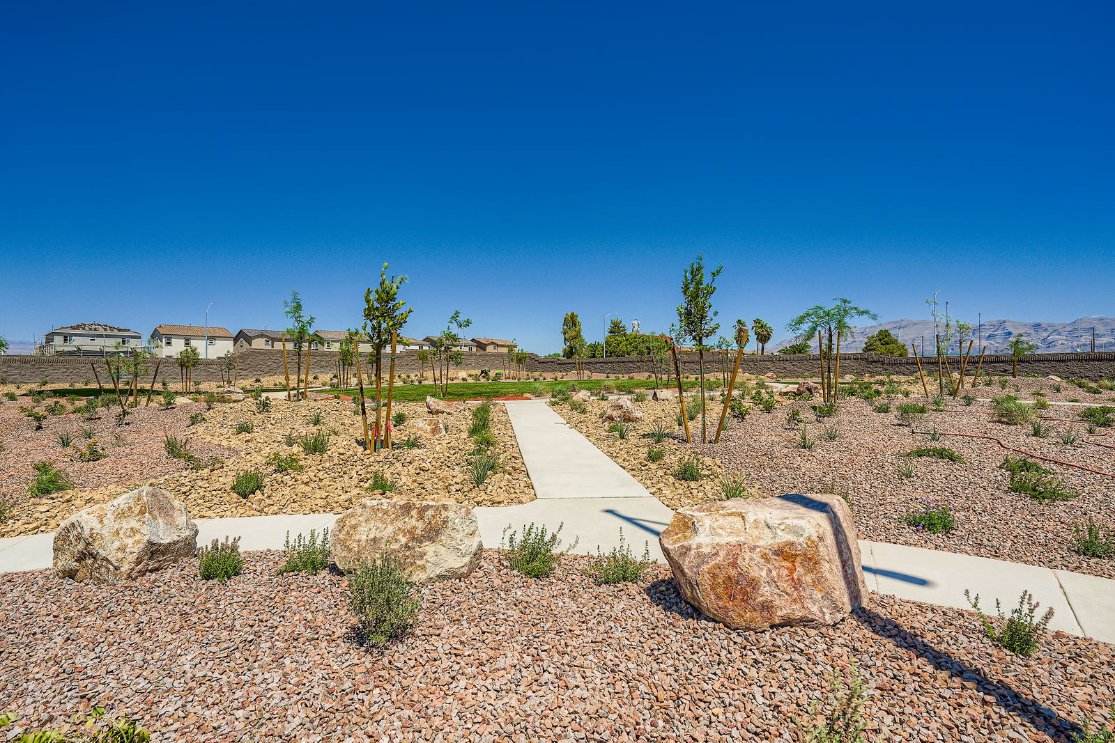 A landscape with trees and rocks.