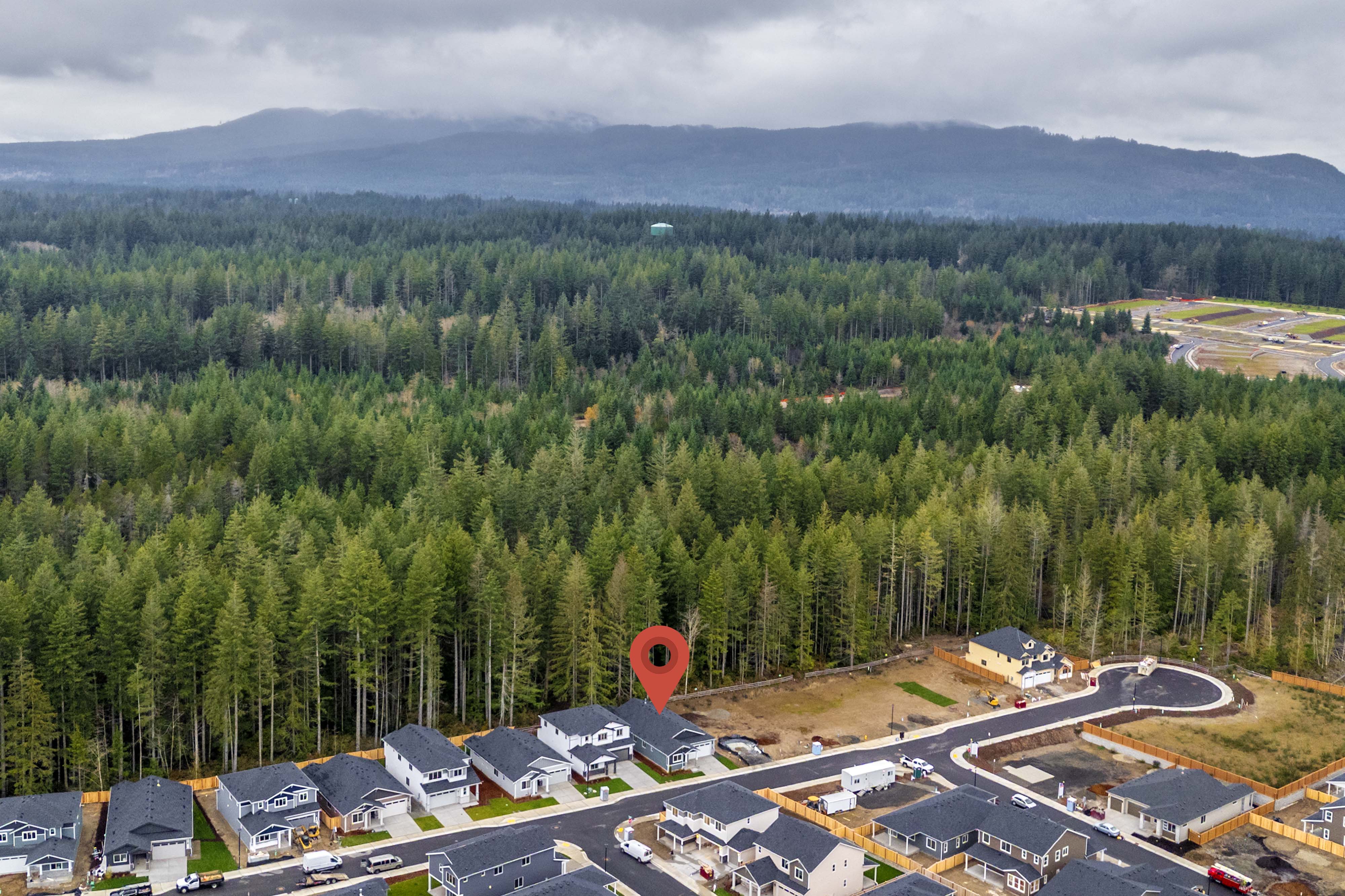 A landscape with trees and a road.