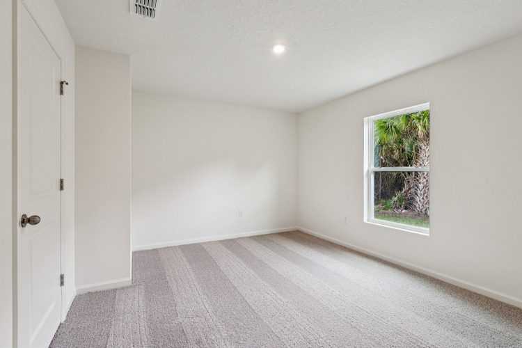 A room with a window and a rug.